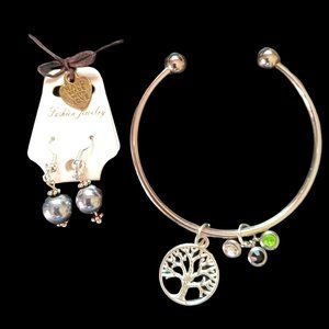 Bracelet Bangle Stainless Steel With Charms And Earrings